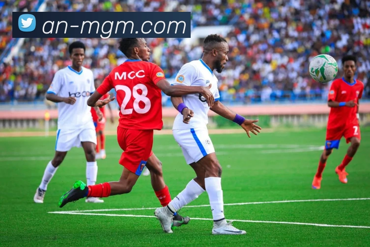 美高梅官网平台生态图